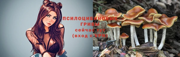 кокс Алзамай