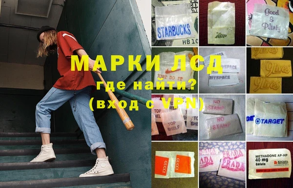 СК Алексин