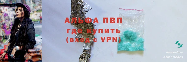 СК Алексин