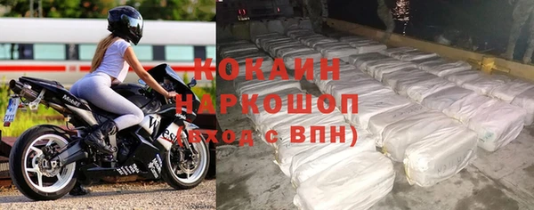 СК Алексин