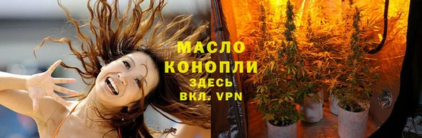молекула духа Алексеевка
