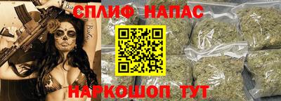 СК Беслан