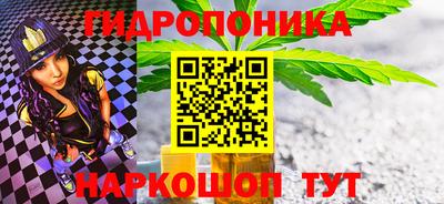 молекула духа Бийск