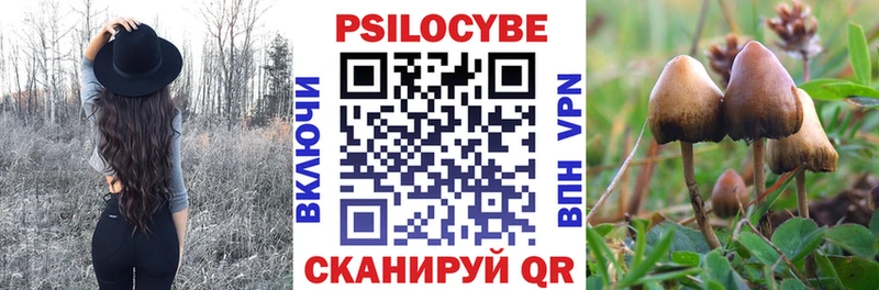 Галлюциногенные грибы мицелий  Дмитров 