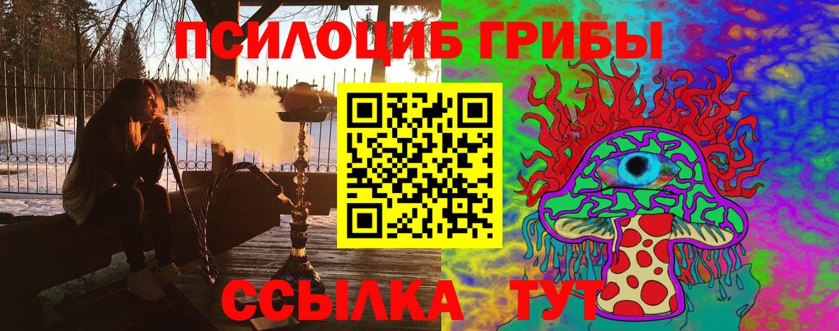 ГАШИШ Дмитров